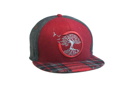 Hat; baseball hat; style; stylish; lake tahoe; tahoe; lake; logo; represents; nature; sierra; sierras; street; wear; street wear; comfortable; fitted; snapback; universal; flex-fit; lid; fashion; modern; kids; college; elements; lake logo; california; nevada; star; life logo; 4 elements; life; woods; trees; water; snow; seasons; elevation; hiking; hip hop; views; details; gora; cachucha; clothing; company; apparel; tahoe fitted clothing company; small business; reno; rubicon; trail; rubicon waters; Tahoe Blue; Blue; White; Light; 3D; Dark; 1st; collection; 1's; I's; 3; angles; front; back; side; underside; bill; flat; close-up; close; up; green; black; green trees, Maroon, plaid,